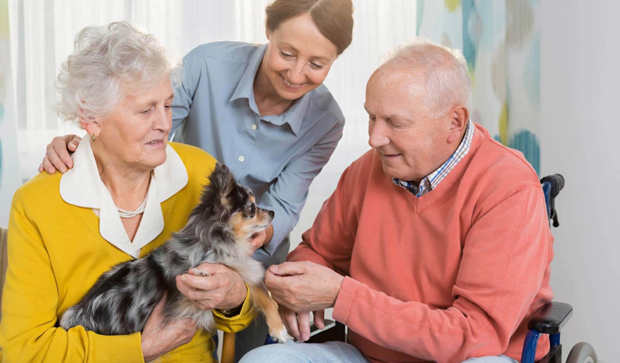 Caregiver with senior couple holding a small dog